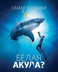 Самая большая в мире белая акула? (2019) смотреть онлайн